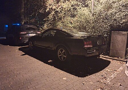 Ford Mustang v6