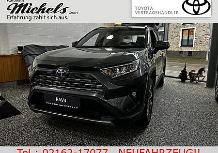 Toyota RAV 4 Hybrid 4x2 Team D, Navi, LED, PDC,Technik