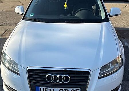 Audi A3 1.6 TDI (DPF) 77kW Ambition Ambition