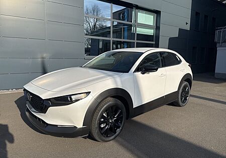 Mazda CX-30 Nagisa Automatik 140 Metallic