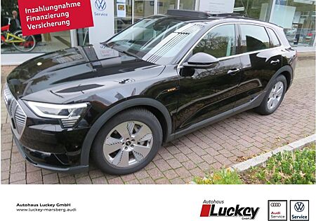 Audi e-tron gebraucht kaufen Audi e-tron 50 QUATTRO PANORAMADACH