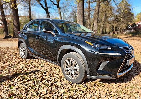 Lexus NX 300 300h Business Line Business Line