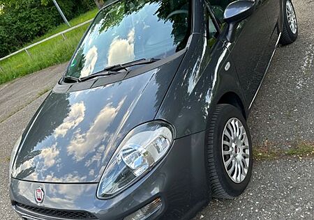 Fiat Punto gebraucht kaufen Fiat Punto 1.2 8V -
