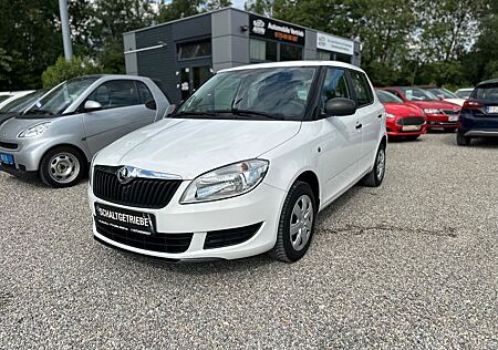 Skoda Fabia Cool Edition Steuerkette Neu