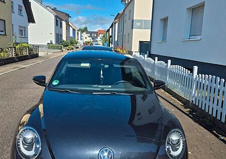 VW Beetle gebraucht kaufen VW Beetle Volkswagen 1.6 TDI Exclusive Design Exclusive Design