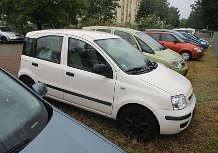 Fiat Panda 1.2 8V Dynamic 1.Hand Finanzierung möglich