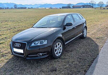 Audi A3 1.4/Sportback/Getriebe NEU/8-fach/TOP Zustand