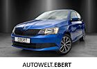 Skoda Fabia Cool Edition 1.0 TSI/SHZ/SMART-LINK/KLIMA/