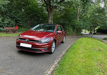 VW Golf Volkswagen 1.0 TSI DSG LED AHK NAVI Massage Panorama
