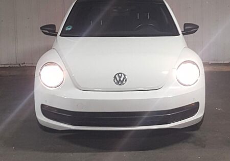 VW Beetle gebraucht kaufen VW Beetle Volkswagen 1.2 TSI DSG -