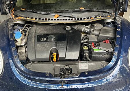 VW Beetle Volkswagen