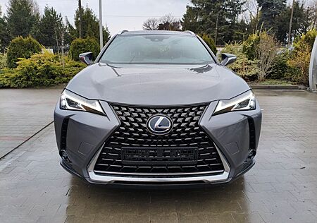 Lexus UX 250 h