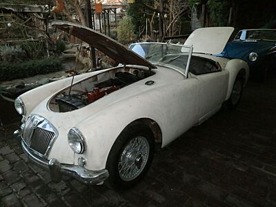 MGA