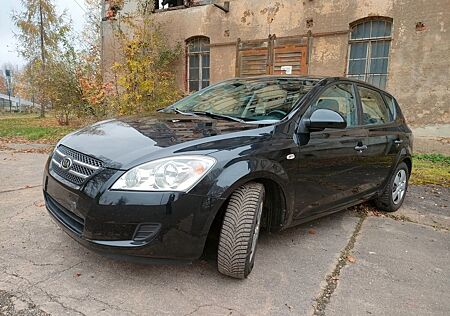 Kia Cee'd / Ceed 1.4 HU/AU neu 8-fach bereift