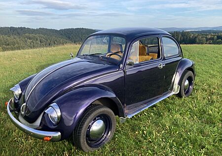 VW Käfer Volkswagen