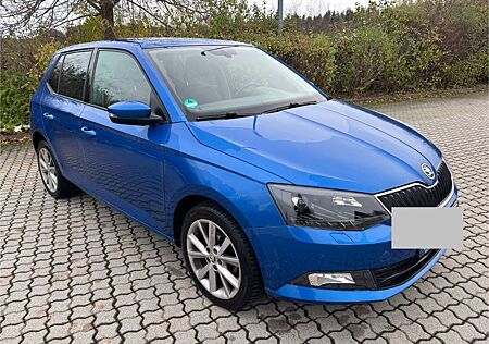 Skoda Fabia 1.2l TSI 66kW Joy *Apple CarPlay*