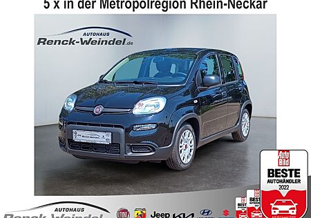 Fiat Panda Base 1.0 GSE DAB Klima el.SP Spieg. beheiz