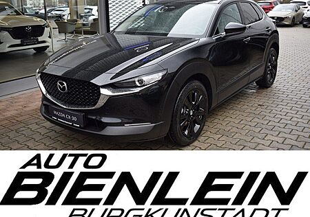 Mazda CX-30 2.5 140PS Homura Voll-LED Navi Kamera LogI