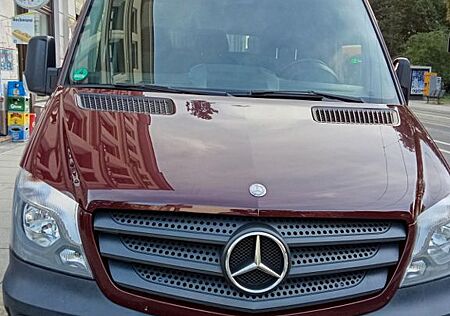 Mercedes-Benz Sprinter II Kasten 310/311/313/314/316 CDI
