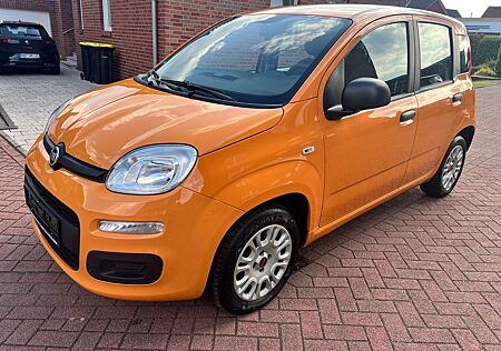 Fiat Panda 1,2 *KLIMA*TÜV NEU*