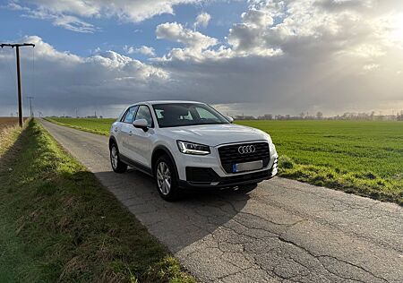 Audi Q2 35 TFSI - AHK - SHZ - ACC