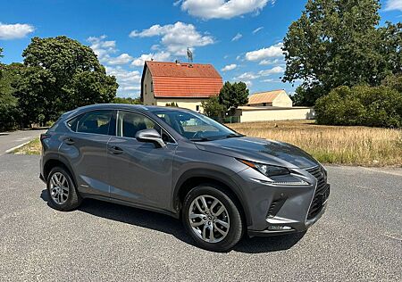 Lexus NX 300 NX 300h Business-Allradantrieb-Hybrid-Automatik