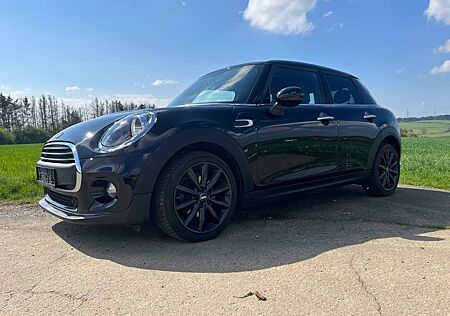 Mini ONE 1.5 Blackyard