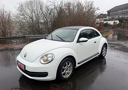 VW Beetle Volkswagen 1,2 TSI/Pano/Tüv Au Neu !