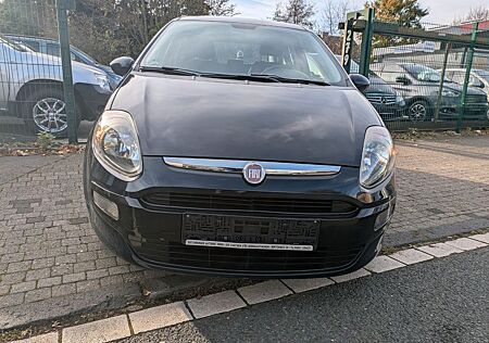 Fiat Panda Punto 1.2 8V MyLive* TÜV NEU* 2 HAND*