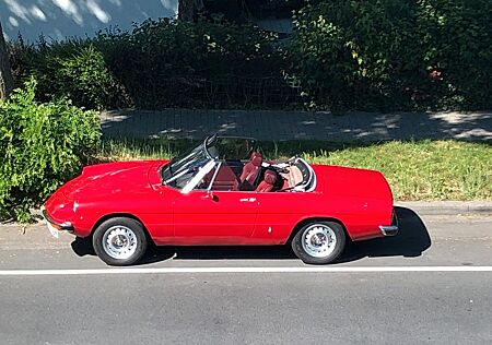 Alfa Romeo Spider