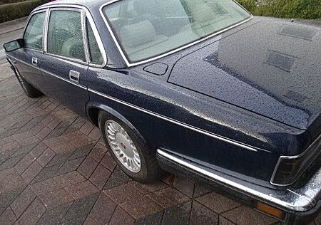 Jaguar XJ40 Daimler - Insignia