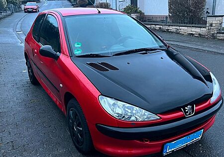 Peugeot 206 Petit Filou 60