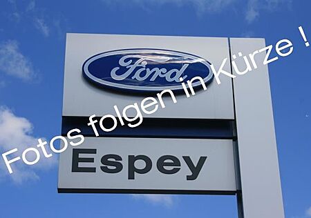 Ford Ranger Raptor Doppelkabine 4x4