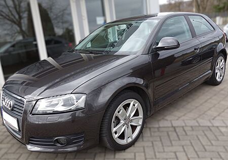 Audi A3 1.4 TFSI Ambition.AHK.Xenon-Plus.Neu Kette!