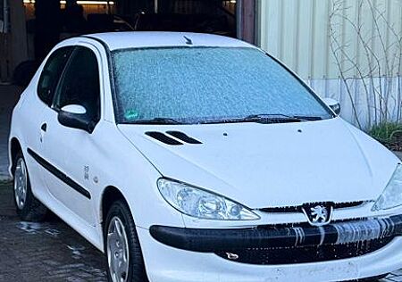 Peugeot 206 1.4 Grand Filou 75 Grand Filou Cool