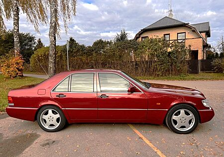 Mercedes-Benz S 500 Fully restored collector's car