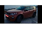 Land Rover Discovery Sport Dynamik TD4 110kW SE Panorama