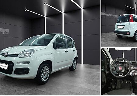 Fiat Panda More