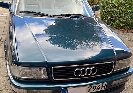 Audi Cabriolet 2.6 H- Zulassung, Wertgutachten