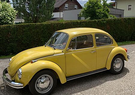 VW Käfer Volkswagen
