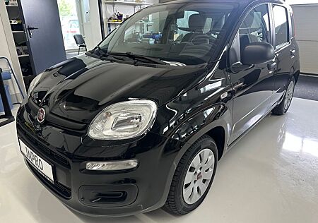Fiat Panda Pop Klima 1 Hand