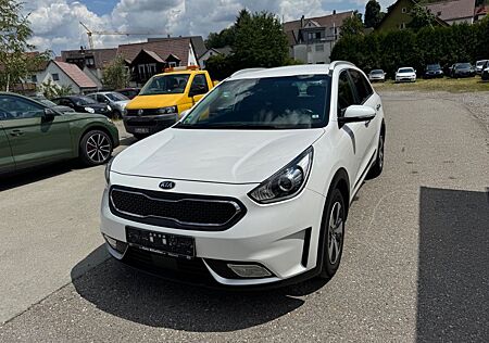Kia Niro Vision
