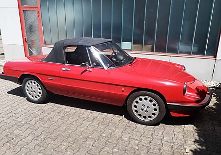 Alfa Romeo Spider