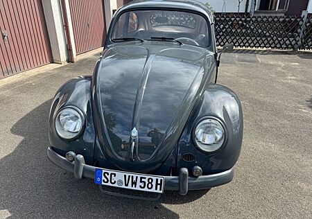 VW Käfer Volkswagen