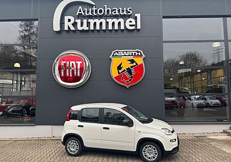 Fiat Panda Pandina MY25+EINPARKHILFE+KLIMAANLAGE+BLUETOOTH+