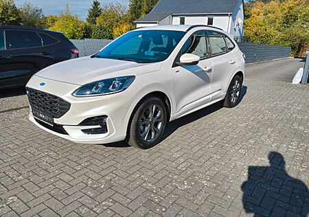 Ford Kuga 1.5 ST-Line AHK, wenig km