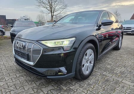 Audi e-tron 50 quattro AHK Kamera SHZ GRA Luftfed.