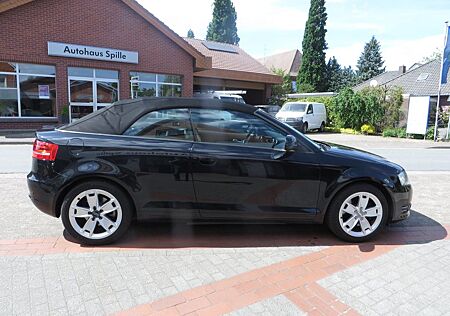 Audi A3 Cabriolet Ambition SHZ