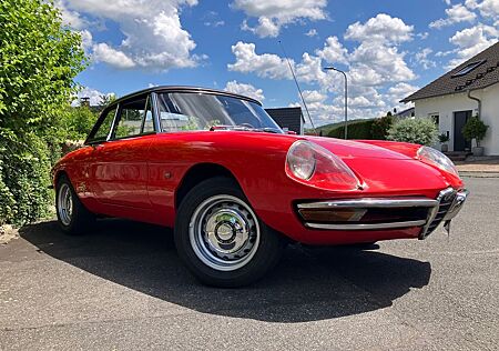 Alfa Romeo Spider Duetto Rundheckspider mit Hardtop