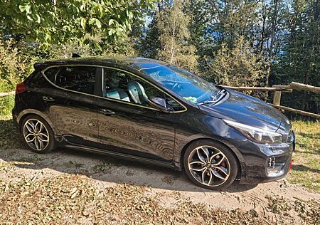 Kia Cee'd / Ceed 1.6 T-GDI GT-Track GT-Track